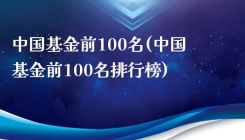 中国基金前100名(中国基金前100名排行榜)